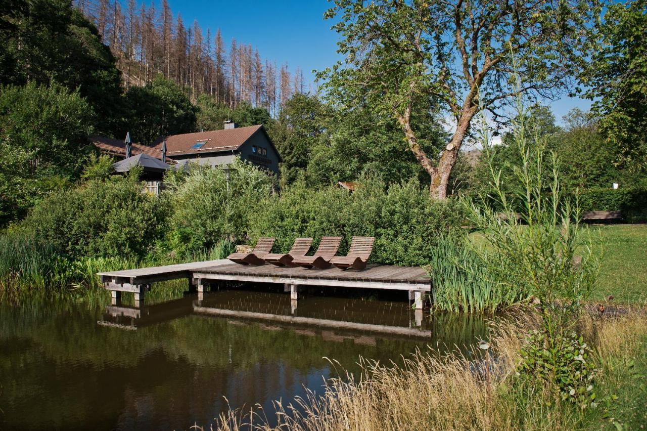 Tiny House Nature 17 - Green Tiny Village Harz Osterode am Harz Exterior photo