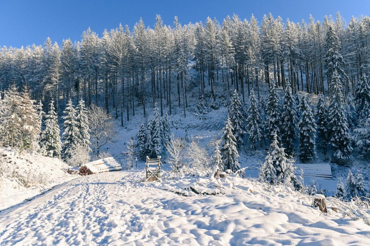 Tiny House Nature 17 - Green Tiny Village Harz Osterode am Harz Exterior photo
