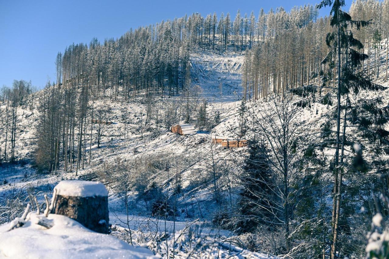 Tiny House Nature 17 - Green Tiny Village Harz Osterode am Harz Exterior photo